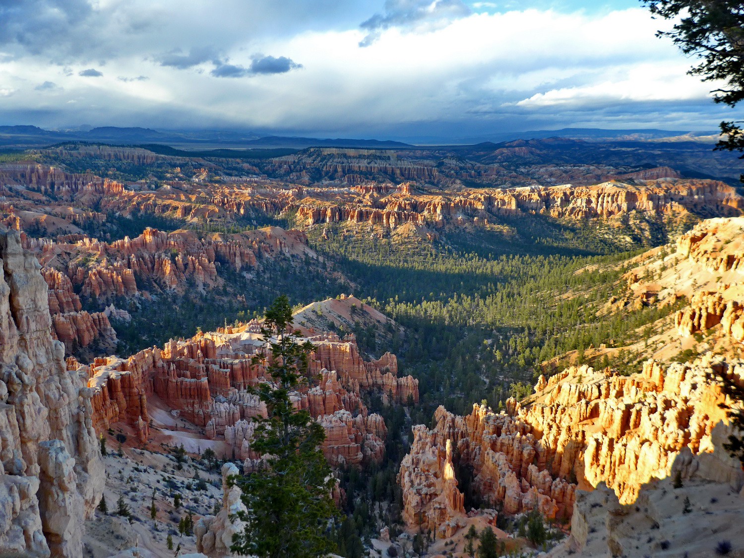 View from Bryce Point